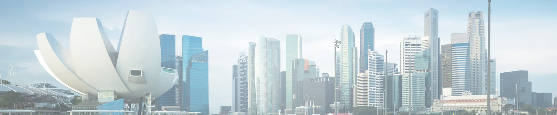 Partners Banner